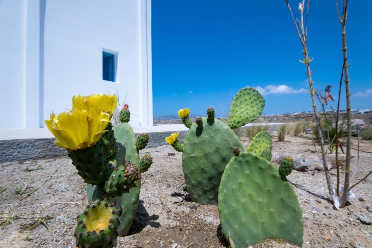 Lilly Villa By Bestofmikonos オルノス エクステリア 写真